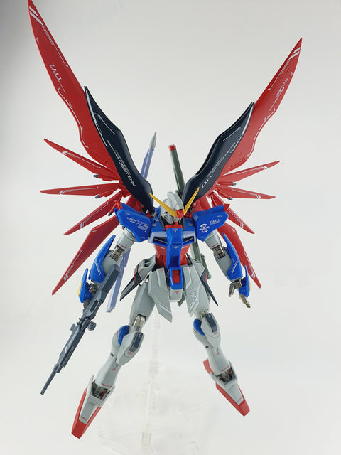 Delpi Water Decal (ดีคอลน้ำ) MG Destiny Gundam