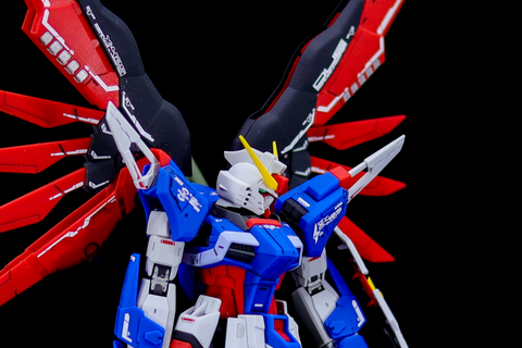 Delpi Water Decal (ดีคอลน้ำ) RG Destiny Gundam