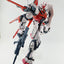 Delpi Water Decal (ดีคอลน้ำ) PG Strike Rouge Gundam