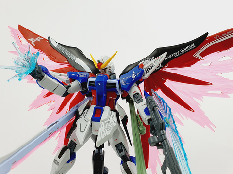 Delpi Water Decal (ดีคอลน้ำ) HG Destiny Gundam