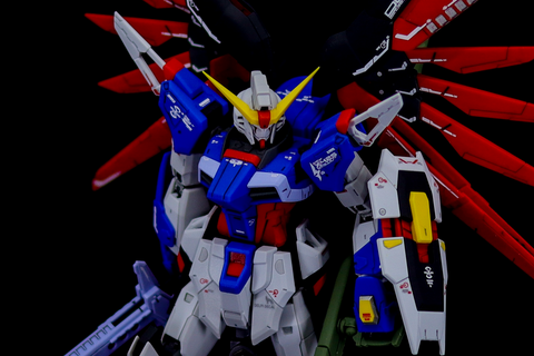 Delpi Water Decal (ดีคอลน้ำ) RG Destiny Gundam