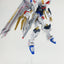 Delpi Water Decal (ดีคอลน้ำ) HG Mighty Strike Freedom Gundam