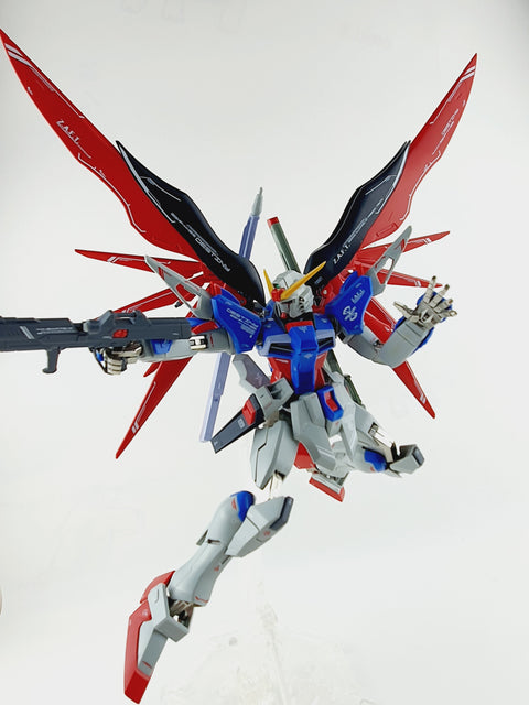 Delpi Water Decal (ดีคอลน้ำ) MG Destiny Gundam