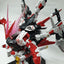 Delpi Water Decal (ดีคอลน้ำ) MG Astray Red Dragon Gundam