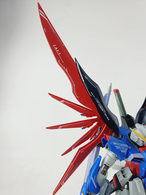 Delpi Water Decal (ดีคอลน้ำ) MG Destiny Gundam