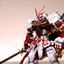 Delpi Water Decal (ดีคอลน้ำ) MG Astray Red Frame KAI Gundam