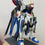 Delpi Water Decal (ดีคอลน้ำ) PG Strike Freedom Gundam