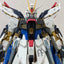 Delpi Water Decal (ดีคอลน้ำ) PG Strike Freedom Gundam