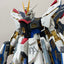 Delpi Water Decal (ดีคอลน้ำ) PG Strike Freedom Gundam